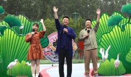 官窑茶具最新爆料视频播放,揭秘千年传承与创新融合的茶艺盛宴